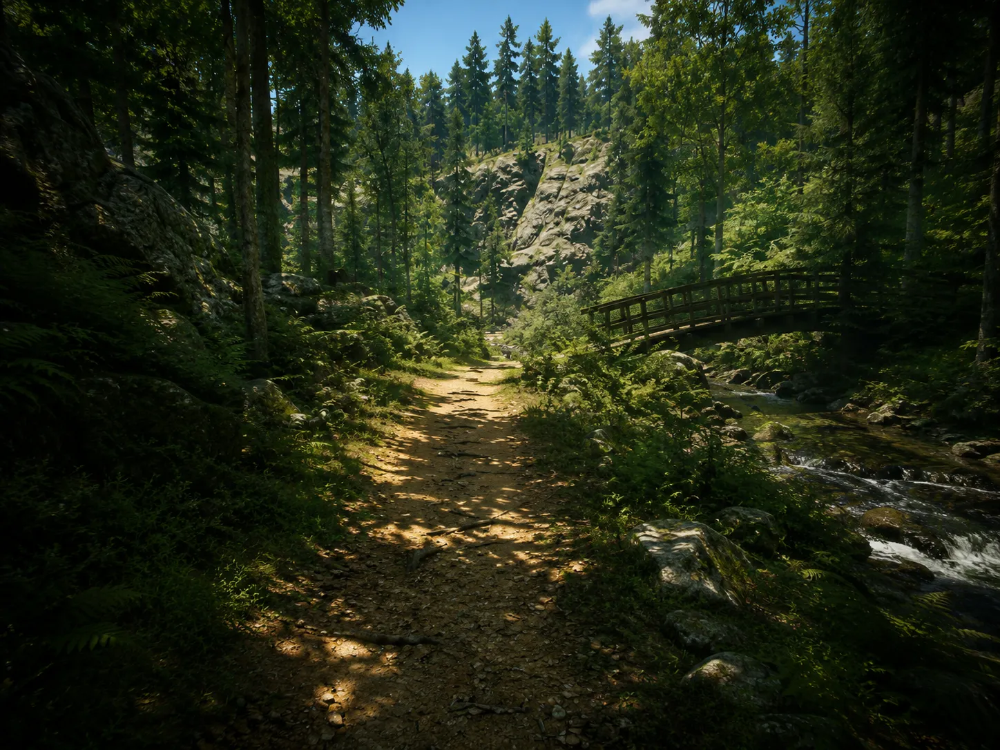 Licence Mode Parcours Sentier Boisé